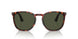 24/31 - Tortoise - Green