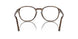 1208 - Tortoise - Clear