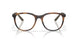 802805 - Tortoise