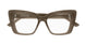 005 - Brown - Transparent