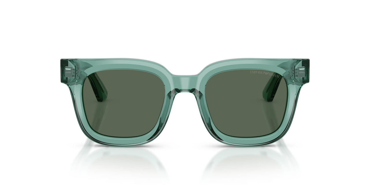 636571 - Green - Dark Green