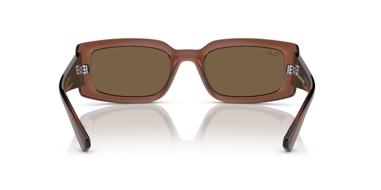 667873 - Brown - Dark Brown