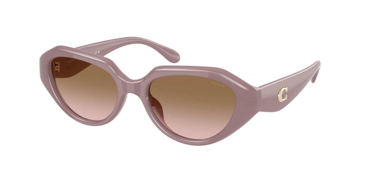 Coach Cby77 8433U Sunglasses
