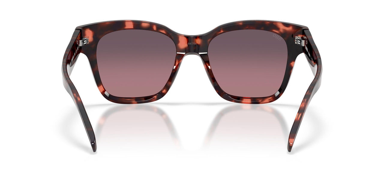201607 - Tortoise - Rose Gradient