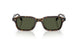 174152 - Tortoise - G-15