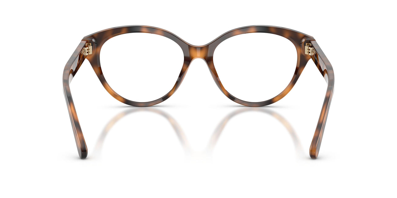 6089 - Tortoise