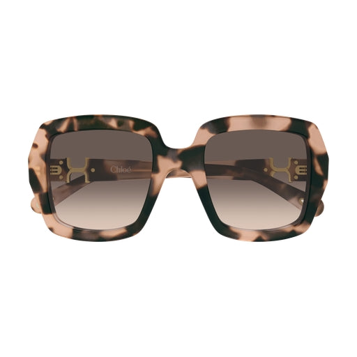 006 - Havana - Brown