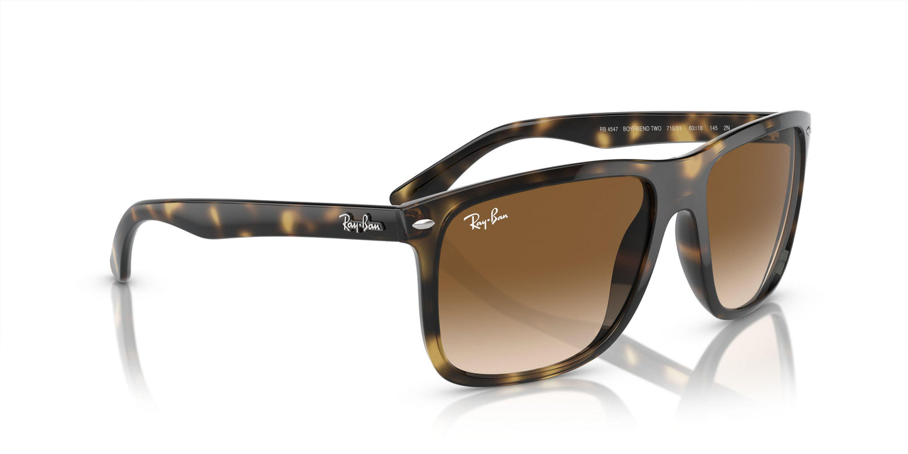 710/51 - Tortoise - Clear/brown