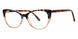 BRWNBLTRT - Brown/Blue Tort