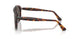 24/B1 - Tortoise - Dark Grey