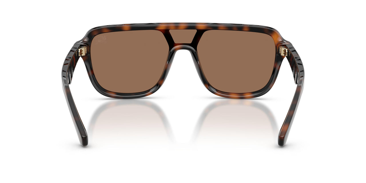 300273 - Brown - Dark Brown