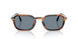 123556 - Brown - Light Blue