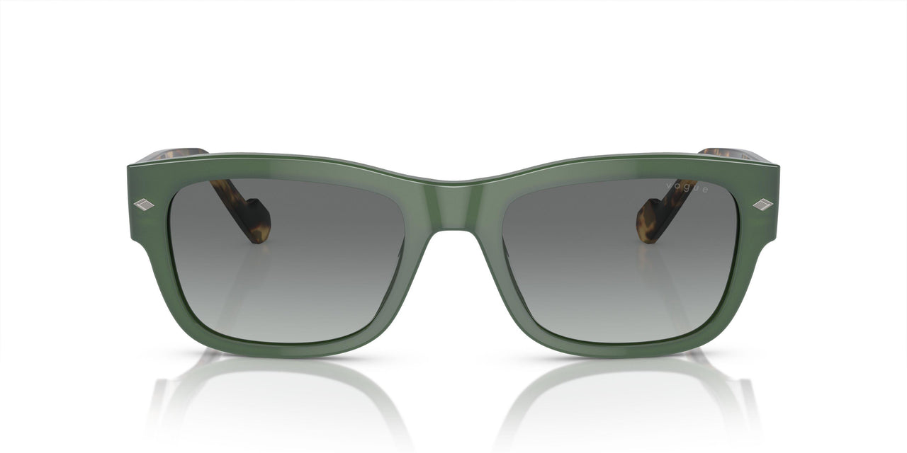 309211 - Green - Grey Gradient