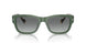 309211 - Green - Grey Gradient