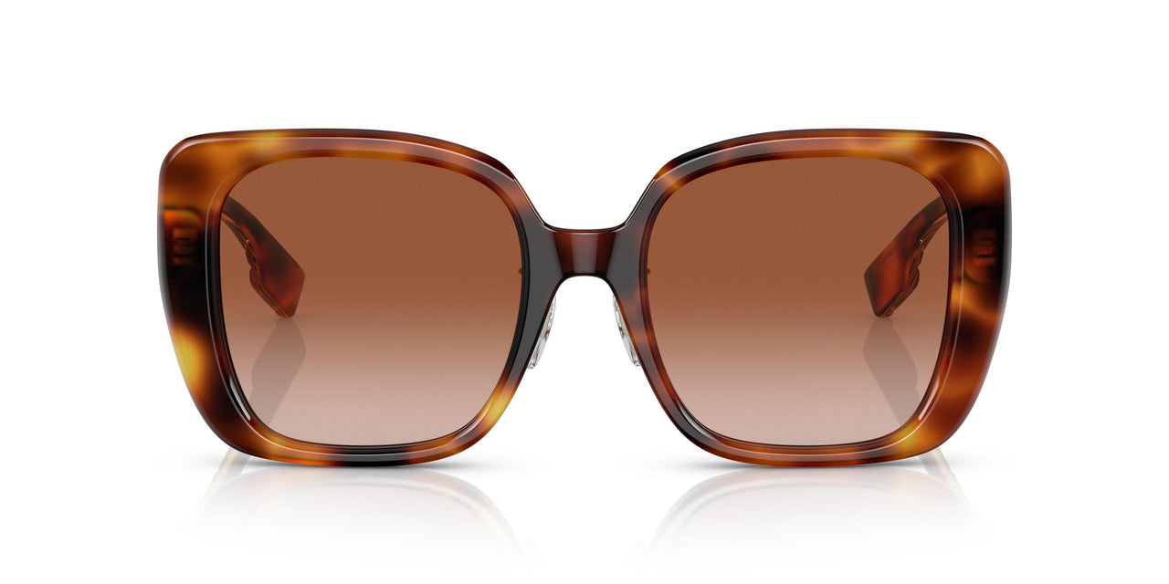 331613 - Havana - Brown Gradient