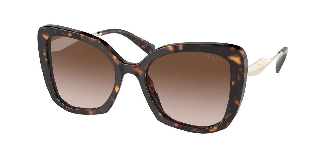 2AU6S1 - Havana - Brown Gradient