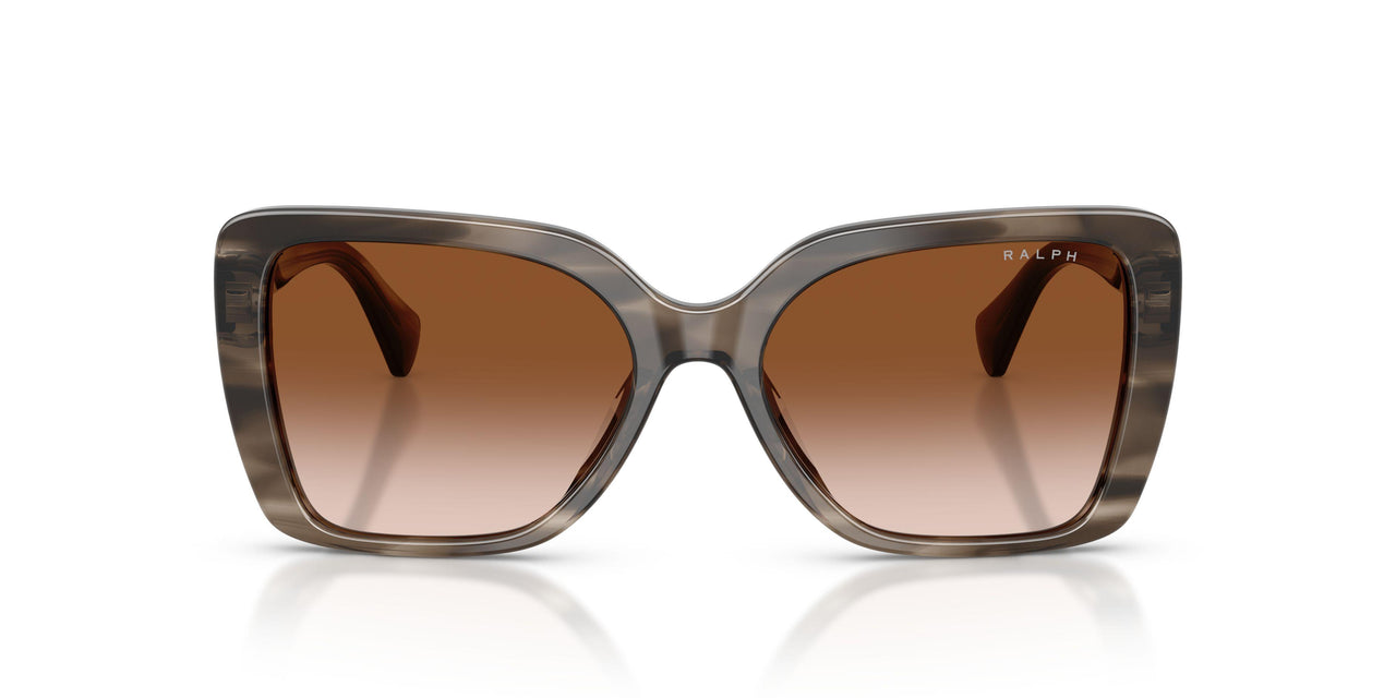 638313 - Grey - Gradient Brown