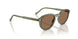 318773 - Green - Dark Brown