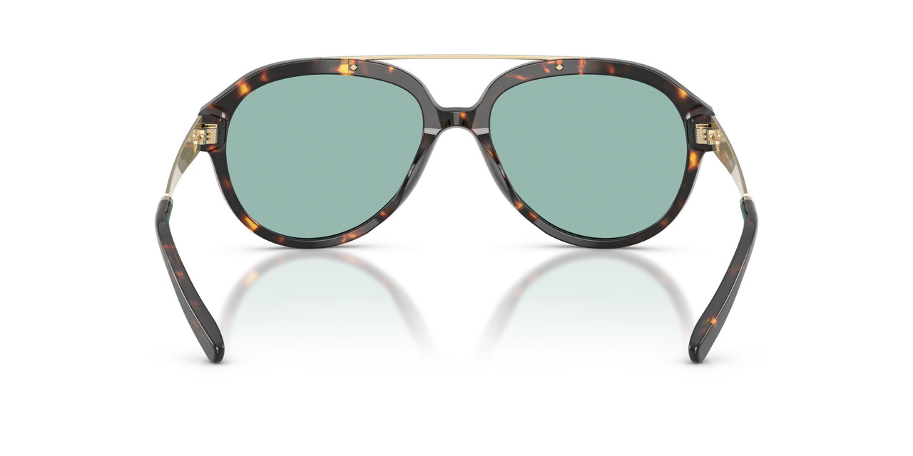 198182 - Tortoise - Petrol Green