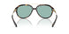 198182 - Tortoise - Petrol Green