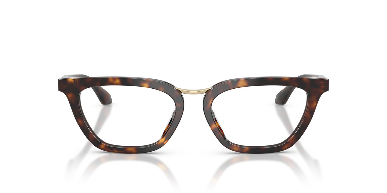 6124 - Tortoise