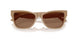 505873 - Brown - Dark Brown