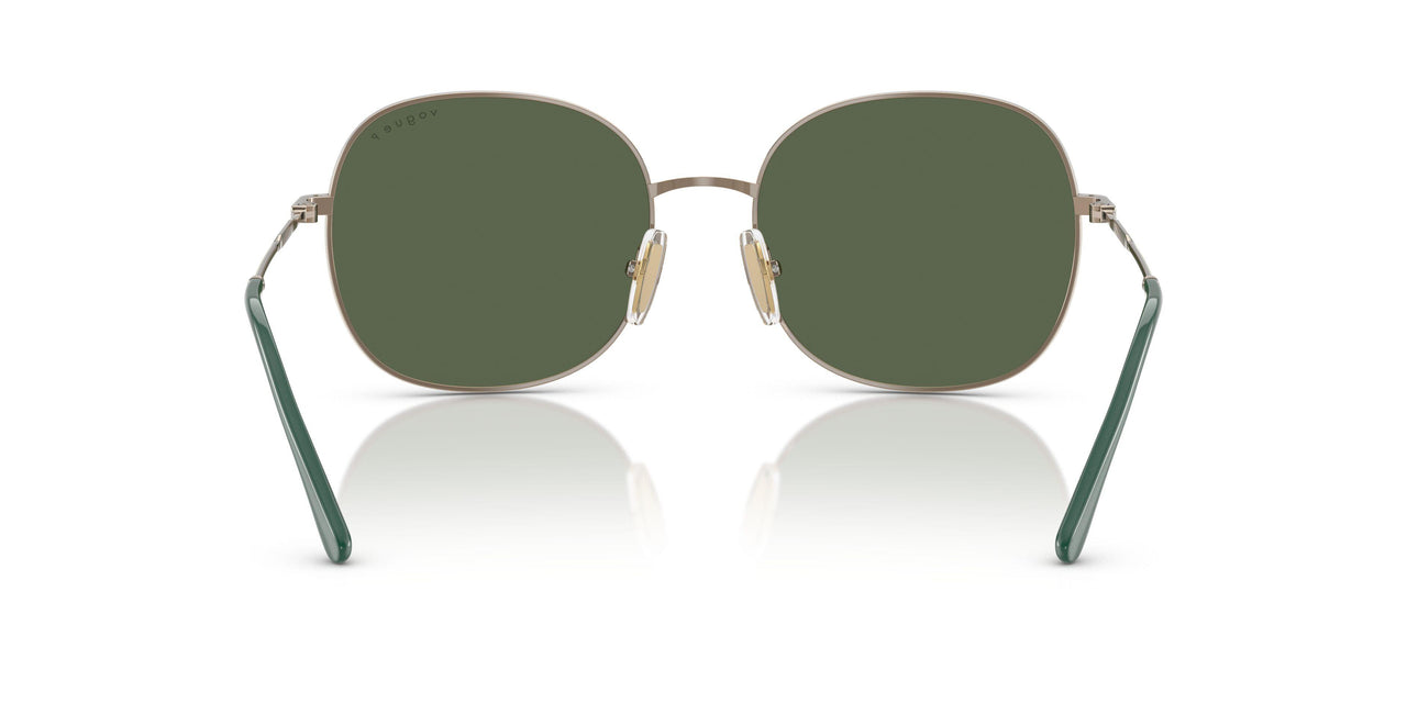 51389A - Brown - Dark Green Polar