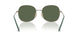 51389A - Brown - Dark Green Polar