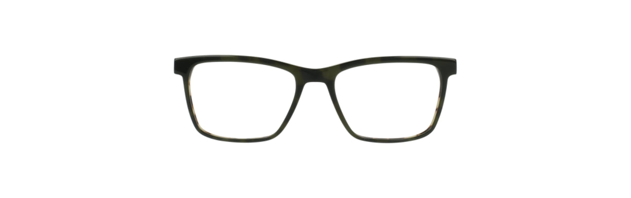 GRT - Green Tortoise