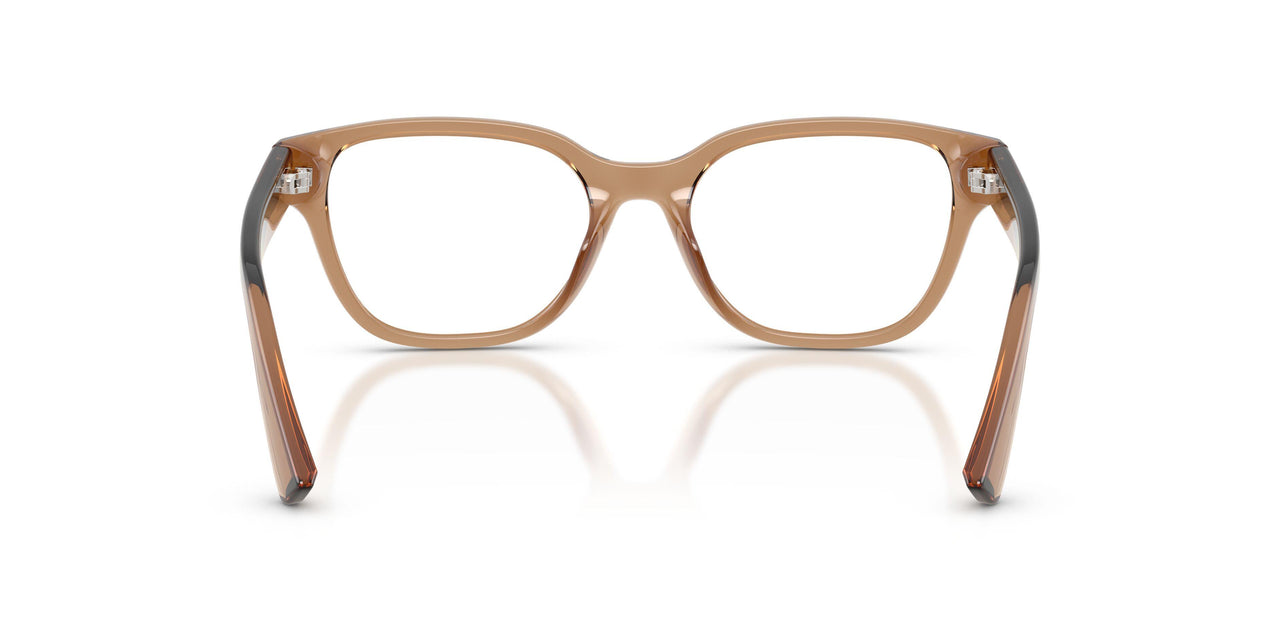 8396 - Brown