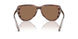 203673 - Brown - Dark Brown