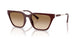 838389 - Red - Gradient Brown