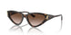 500213 - Tortoise - Gradient Brown