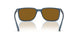 299683 - Blue - Dark Brown Polar