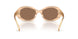 318173 - Pink - Dark Brown