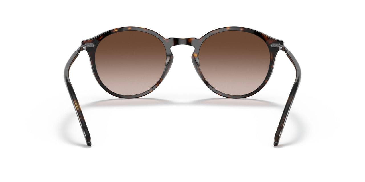 W65613 - Havana - Gradient Brown