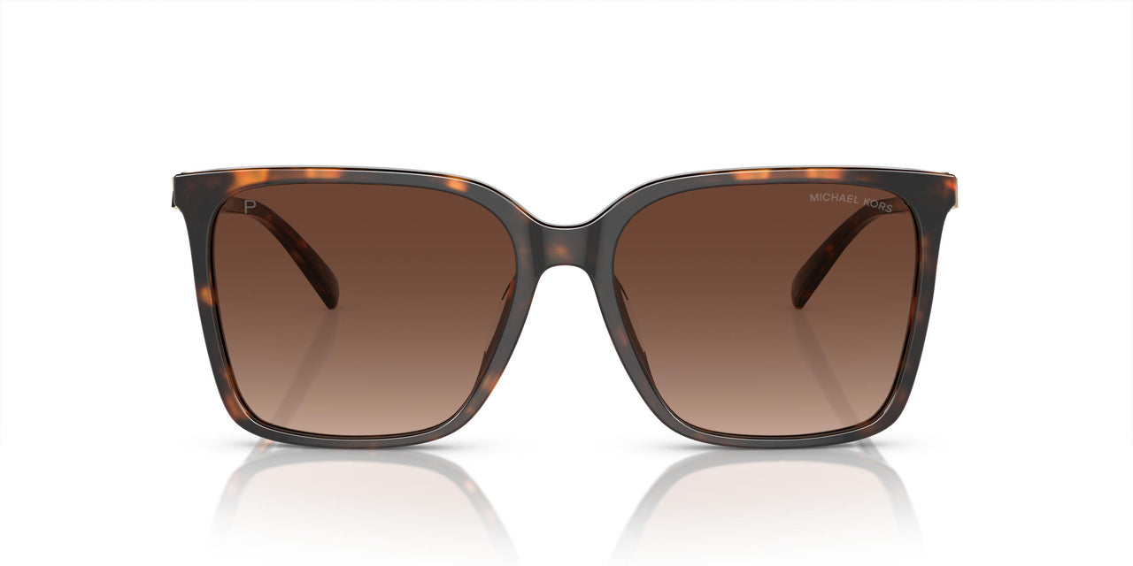 3006T5 - Tortoise - Brown Gradient Polar