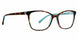 TOAQ - Tortoise Aqua