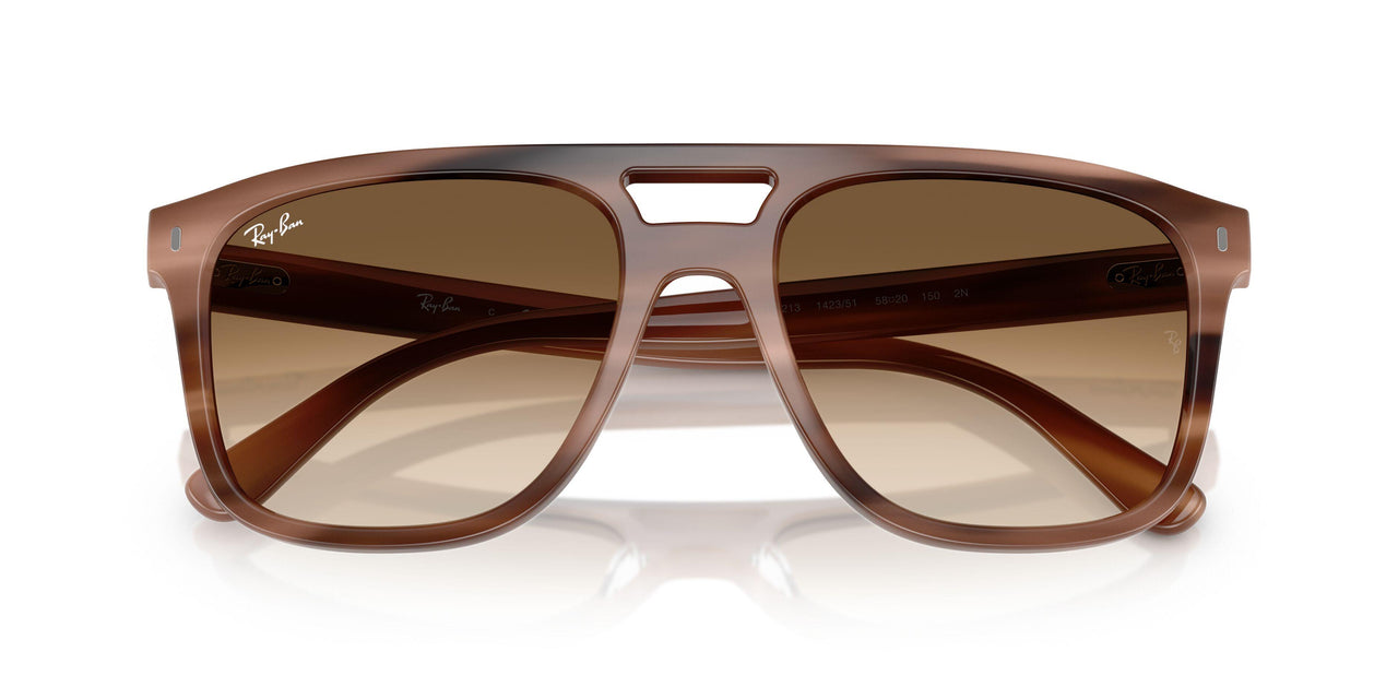 142351 - Tortoise - Clear Gradient Brown