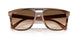 142351 - Tortoise - Clear Gradient Brown