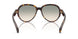30022A - Tortoise - Light Brown Grad Light Green