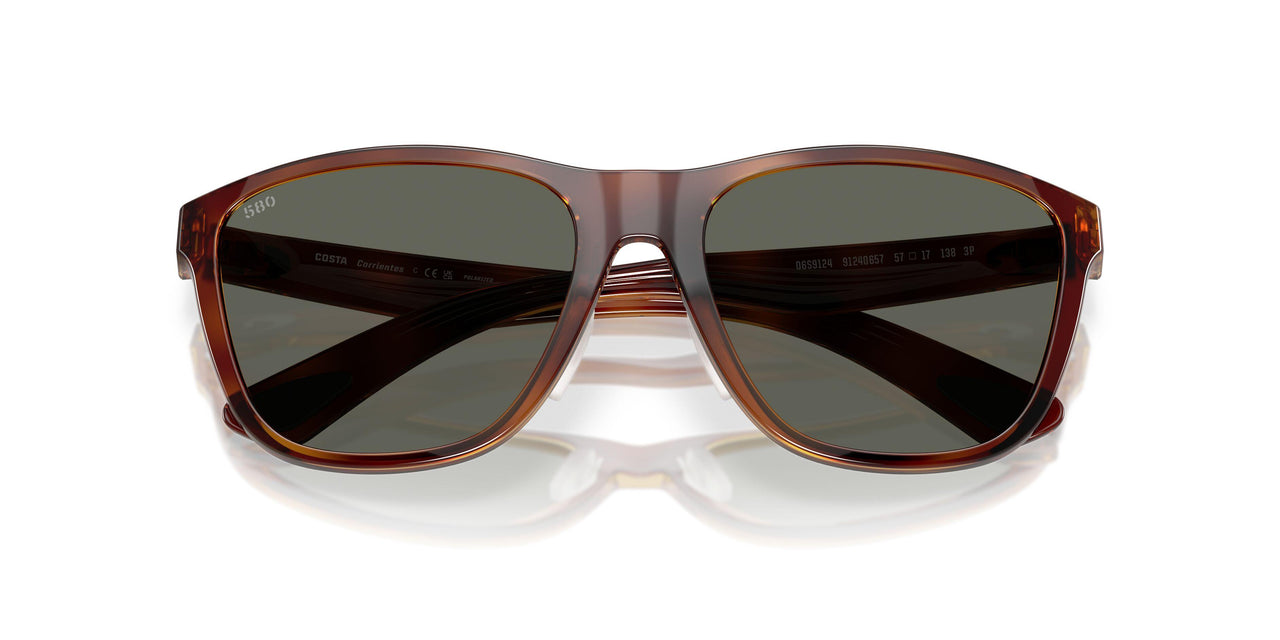 912406 - Tortoise - Gray