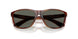 912406 - Tortoise - Gray