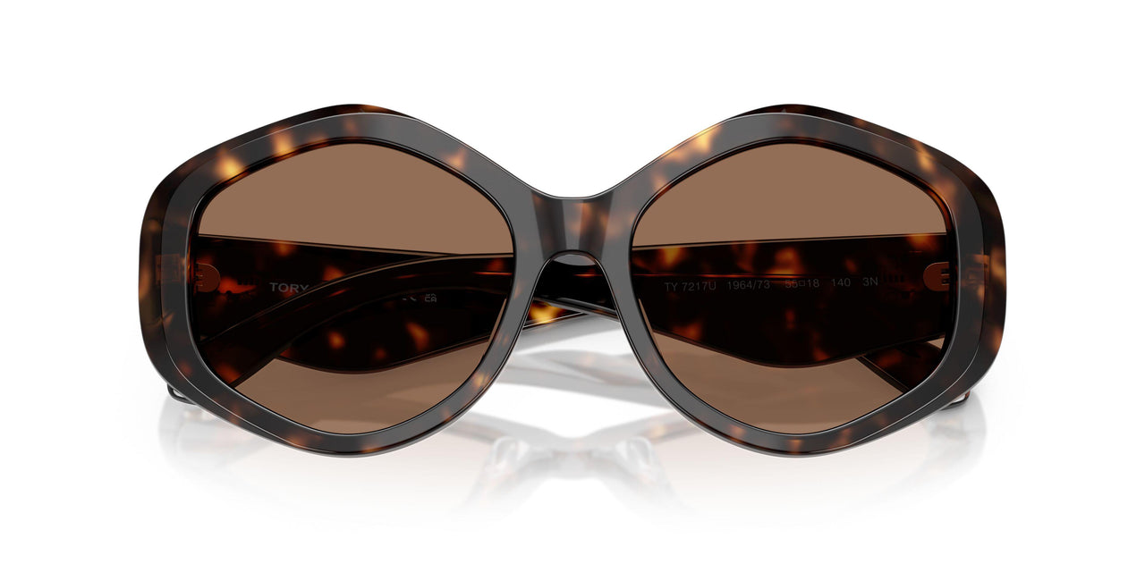 196473 - Tortoise - Brown