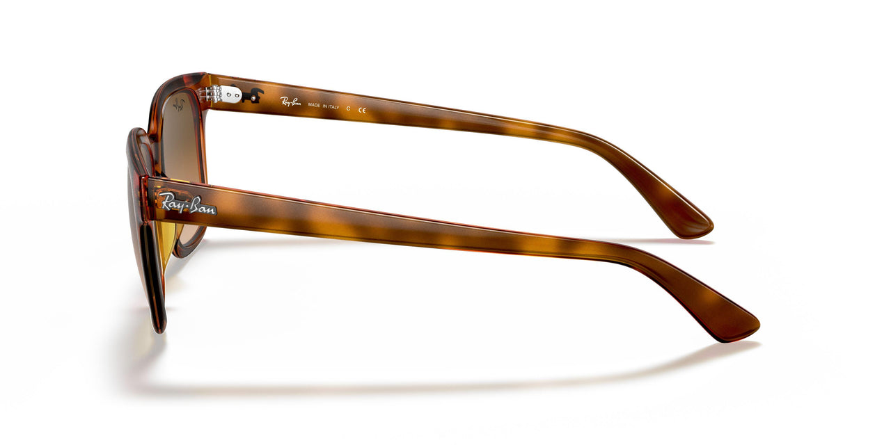 647551 - Yellow Light Havana - Clear Gradient Brown