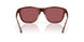 912407 - Tortoise - Gold Mirror