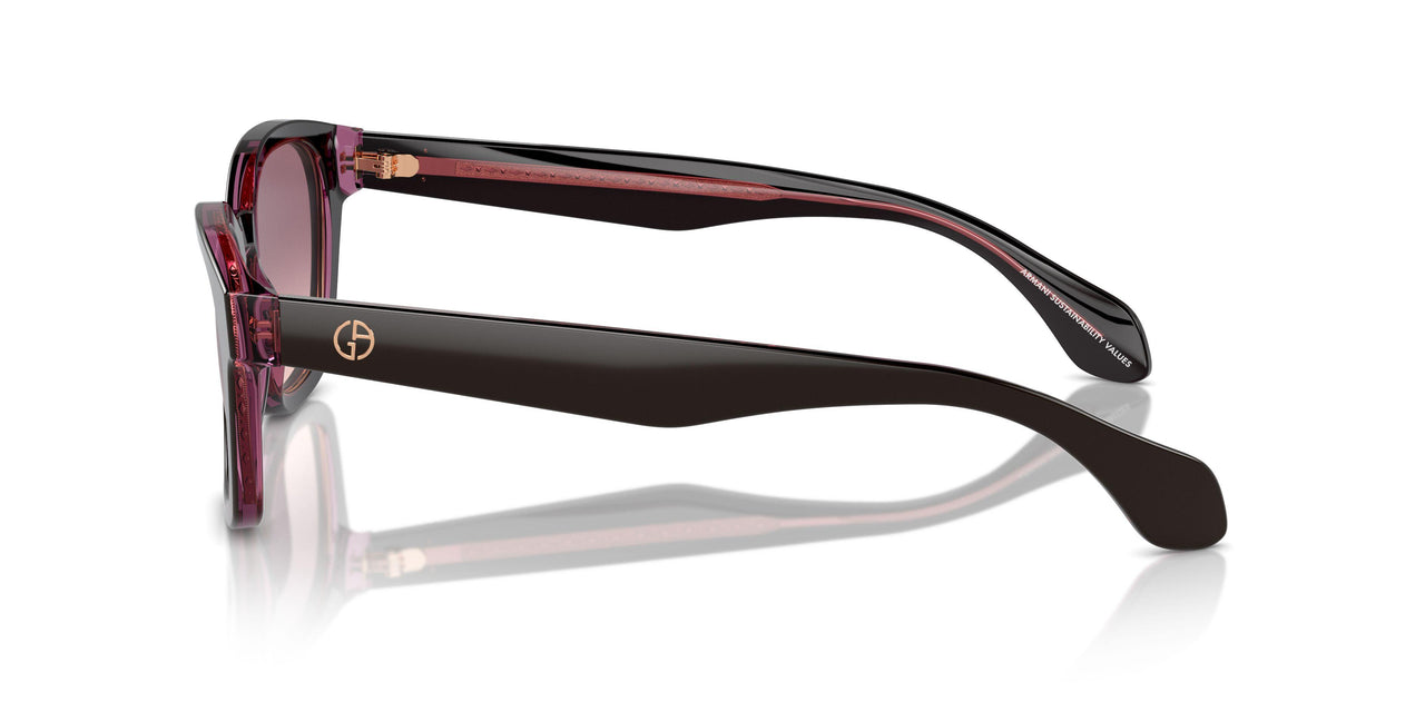 60888D - Brown - Pink Gradient Violet