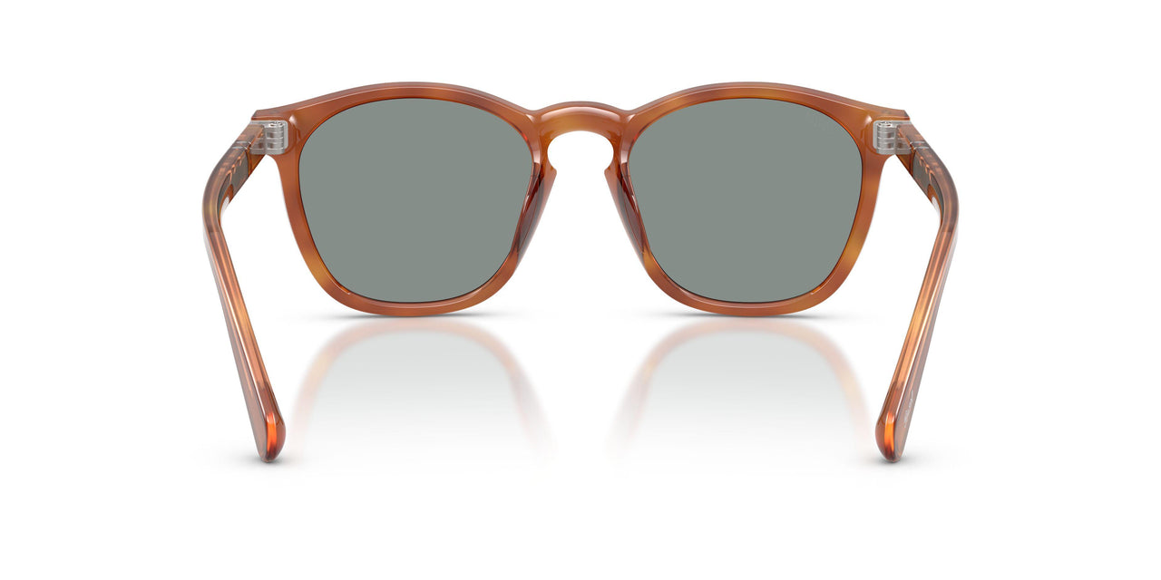 96/56 - Brown - Blue