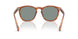 96/56 - Brown - Blue