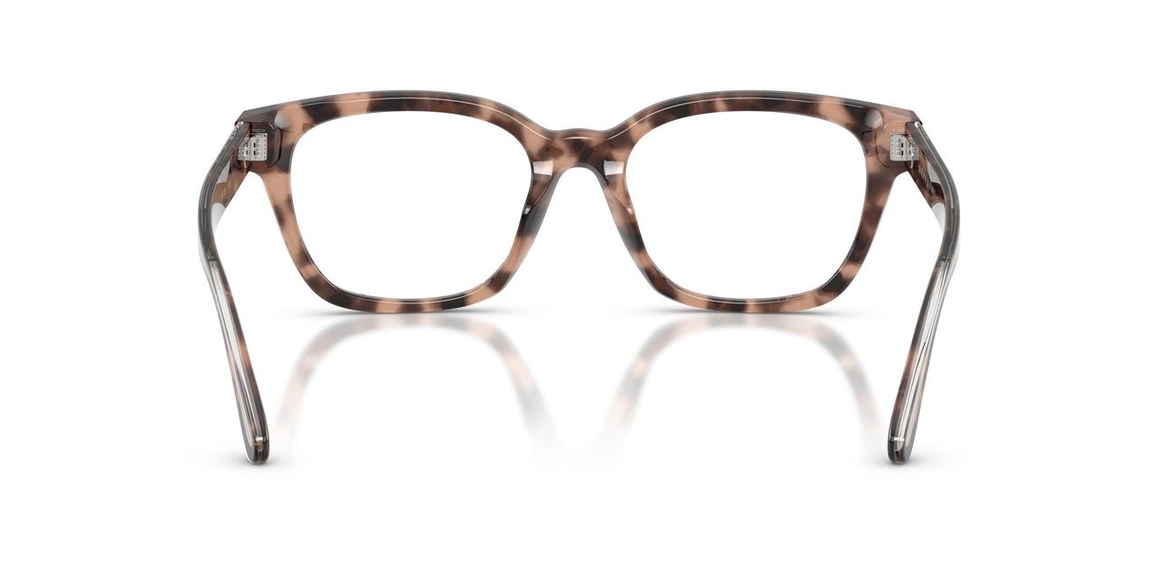 6307 - Tortoise